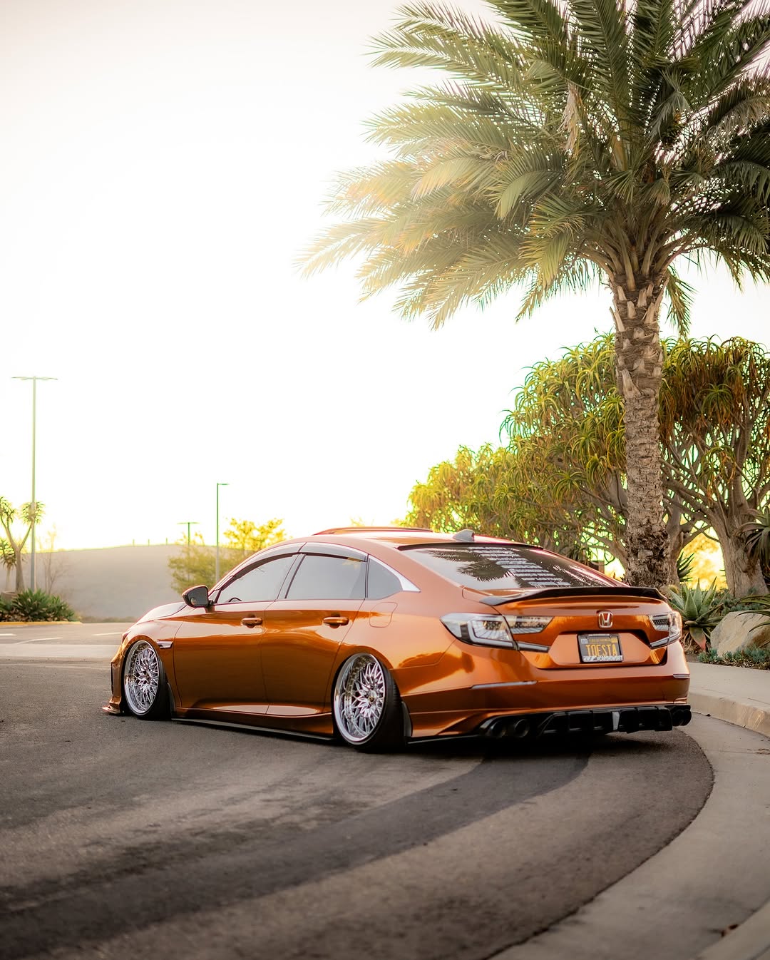 Yofer.co V2 Rear Diffuser & Canards for Honda Accord 10th 10.5th Gen PP Polypropylene